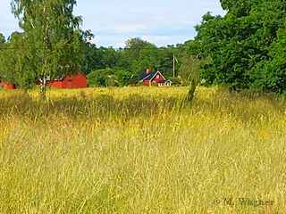 Örkelljunga Waldsaum