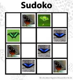 Sudoko-mit-Schmetterlingen