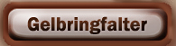 gelbringfalter