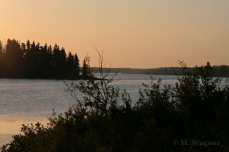 Elk-Nationalpark-Abendstimmung