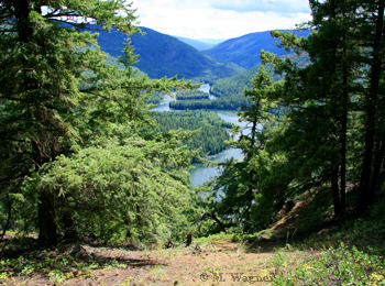 Whitehorse Bluffs Trail