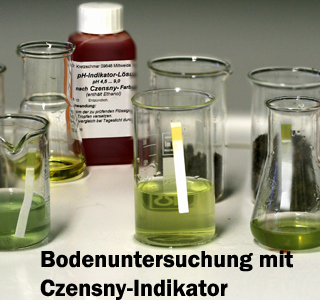 bodenuntersuchung