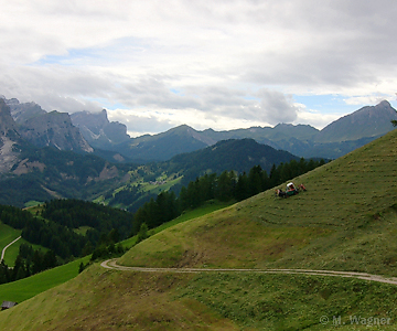 Armentara-Wiesen