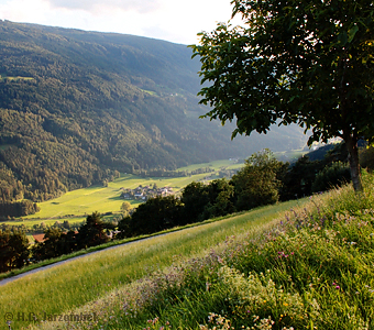 Schwarzbraunbinden-Blattspanner lateral