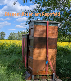 Bienenk&auml;sten am Rapsfeld
